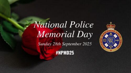 NPMD 2025 image with red rose